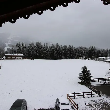Apartment In Tyrol Near Area