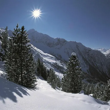 In Tyrol Near Area Apartment *