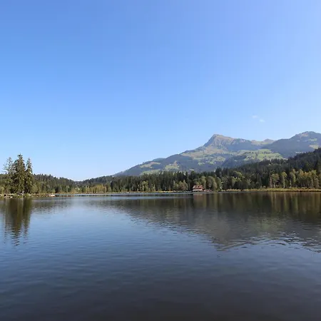 Apartment In Tyrol Near Area