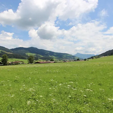 Apartment In Tyrol Near Area *